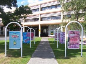 Cadbury Chocolate Factory Tour - Rental Cars 2