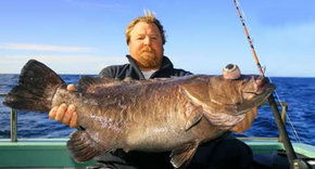 Bravo Fishing Charters - Rental Cars 0