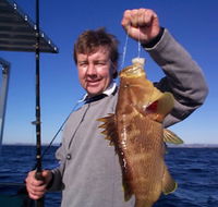 Downunder Charters - Rental Cars