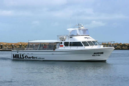 Mills Charters Fishing And Whale Watch Cruises - Rental Cars 1