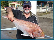 Odyssey Charters - Rental Cars 1