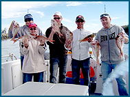 Odyssey Charters - Rental Cars 2