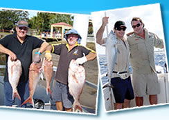 Odyssey Charters - Rental Cars 3