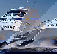Sunshine Coast Fishing Charters - Rental Cars
