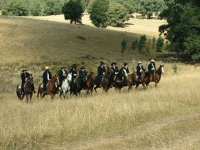 McCormacks Mountain Valley Trail Rides - Rental Cars