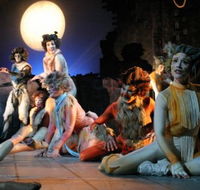 Harvest Rain Theatre Company - Rental Cars