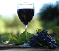 Lion Mill Vineyards - Rental Cars 0