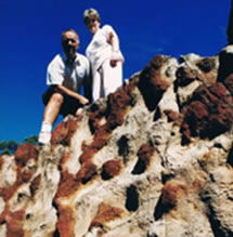 Mystery Craters - Rental Cars 2