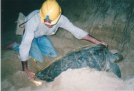 Footprints Adventures - Rental Cars 2