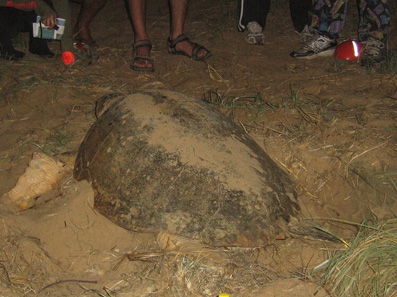 Footprints Adventures - Rental Cars 3