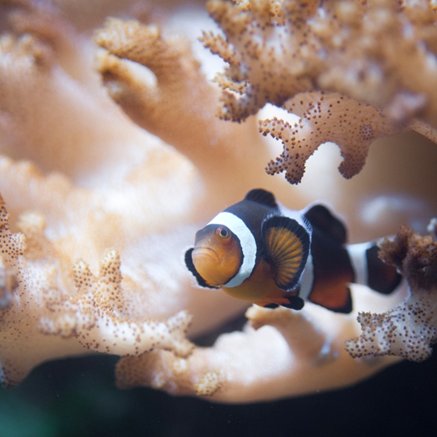 Melbourne Aquarium - Rental Cars 2
