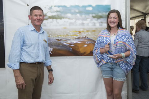 Kingston Arts - Rental Cars 6