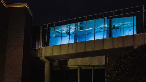 Kingston Arts - Rental Cars 8