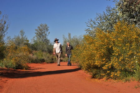Alice Springs Desert Park - Rental Cars 3