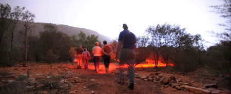 Alice Springs Desert Park - Rental Cars 4
