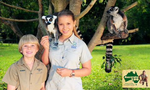 Australia Zoo - Rental Cars 2