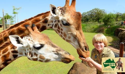 Australia Zoo - Rental Cars 4