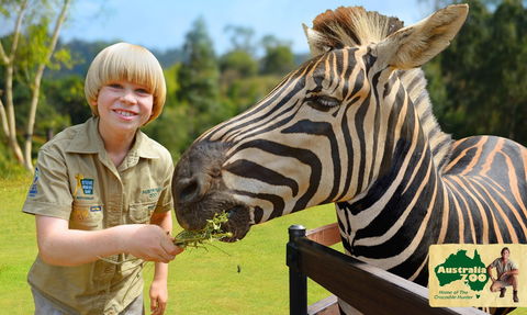 Australia Zoo - Rental Cars 5