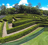 Bellingham Maze - Rental Cars