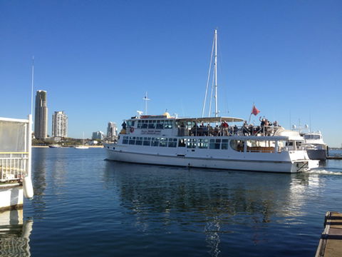 Brisbane Cruises - Rental Cars 1