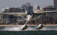 Melbourne Seaplanes - thumb 0