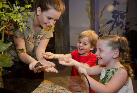 WILD LIFE Sydney Zoo - Rental Cars 1