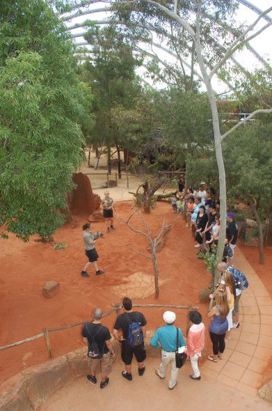 WILD LIFE Sydney Zoo - Rental Cars 2