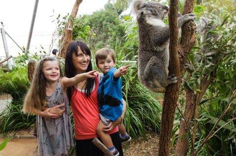 WILD LIFE Sydney Zoo - Rental Cars 3
