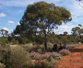 Karlkurla Bushland Park - Rental Cars 0