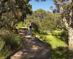 Leschenault Peninsula Conservation Park - Rental Cars 0