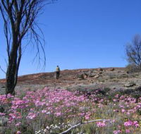 Talgomine Reserve - Rental Cars