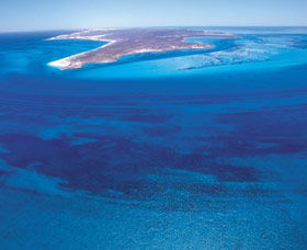 Dirk Hartog Island - Rental Cars 0