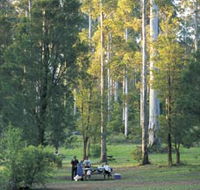 Big Brook Arboretum - Rental Cars