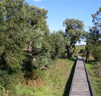 Kepwari Trails Wetland Wonderland - Rental Cars
