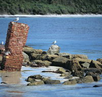 Whalers Beach - Rental Cars