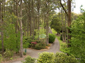 Mount Lofty Botanic Garden - Rental Cars 0
