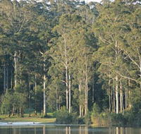 Big Brook Dam - Rental Cars