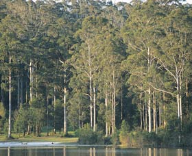 Big Brook Dam - Rental Cars 0