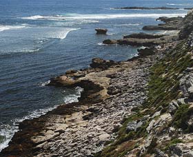 Cape Vlamingh - Rental Cars 0