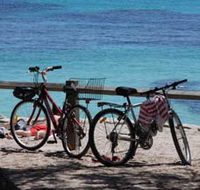 Parker Point Marine Snorkel Trail - Rental Cars