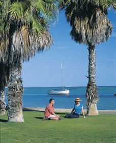 Town Bluff - Rental Cars 0