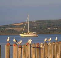 Oyster Harbour - Rental Cars