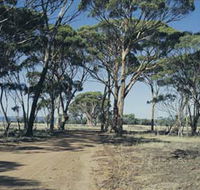 Lake Dumbleyung - Rental Cars