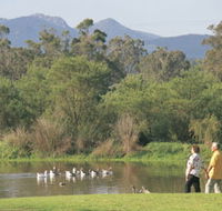 Porongurup National Park - Rental Cars