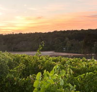 Aravina Estate - Rental Cars