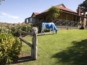Macclesfield SA Rental Cars