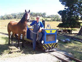 Blakiston SA Rental Cars