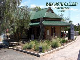 Rain Moth Gallery - Rental Cars 0