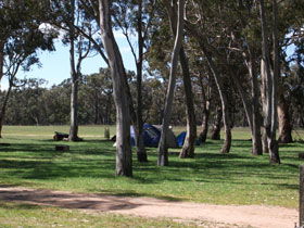 Stewart Range SA Rental Cars