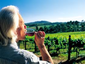 Ashton Hills Vineyard - Rental Cars 0